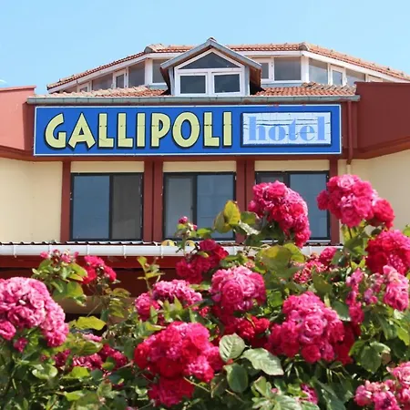 酒店 Gallipoli Hotel 3*